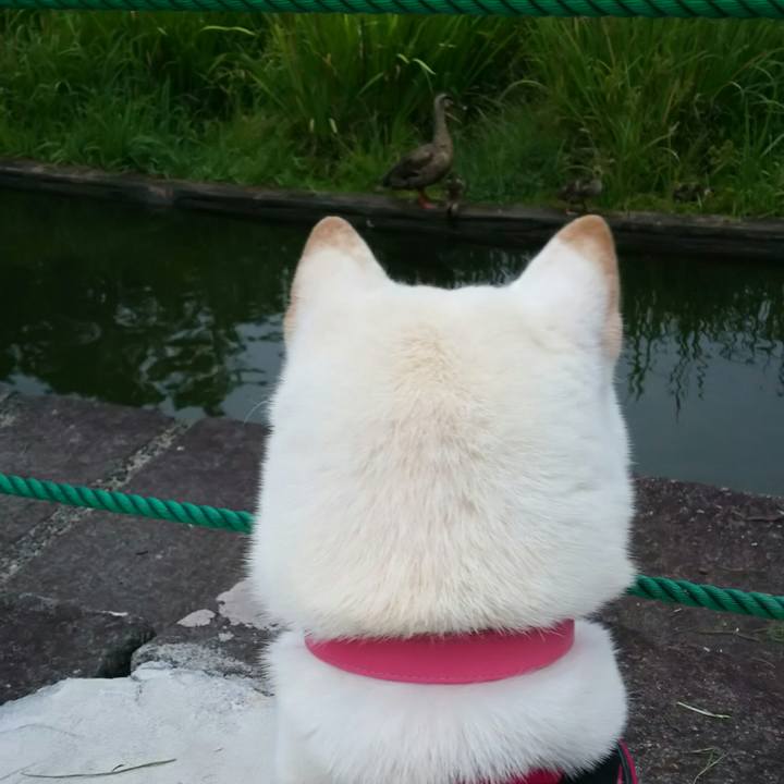 Ff9880c5 58cd 4047 abde 94da80e0cea7 1535621451160