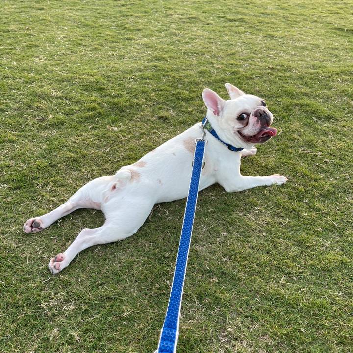 Ff989a02 8b60 4b14 9576 3021427687a7 1627981864951