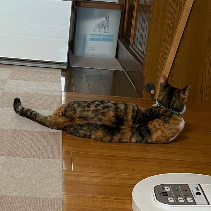 Ff98c236 73f1 47d1 8db1 24e4e7bc5a26 1687299795184