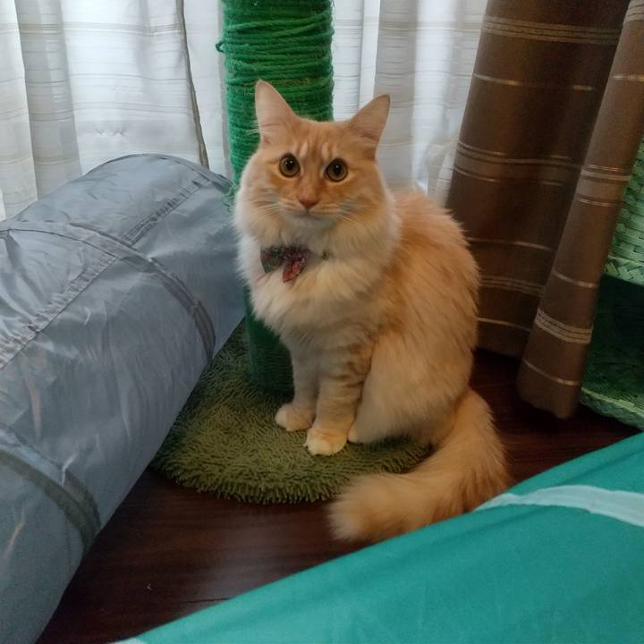 Ff98cc79 cd1e 4142 8b61 64c9b4f91acd 1645227249279