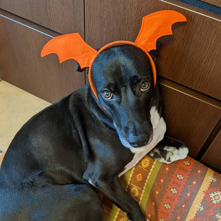 Ff98d770 0c83 41ea 9ebd fd7beb3ec730 1697194483116