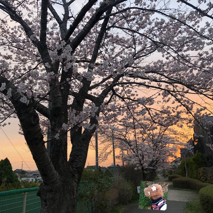 Ff990781 0115 4ba3 8c16 e4b5a8bcf339 1649711365156