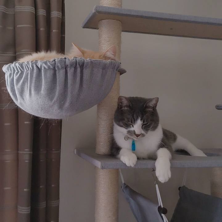 Ff992b10 8283 41dc adb8 86bc92a29fd2 1705482196731