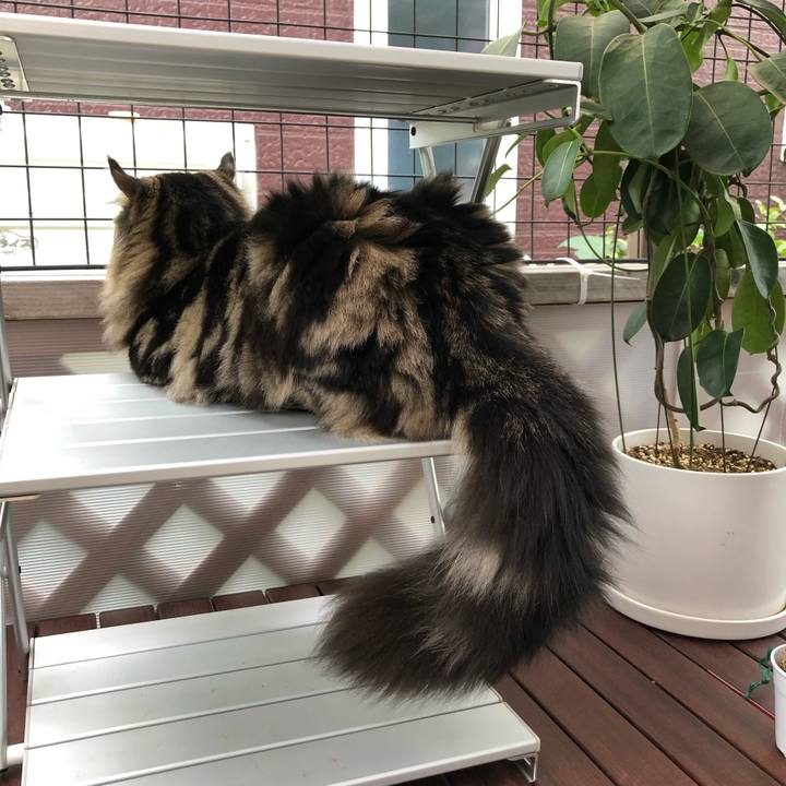 Ff9943de 0908 438c 8a68 632dc04d8279 1566607529021