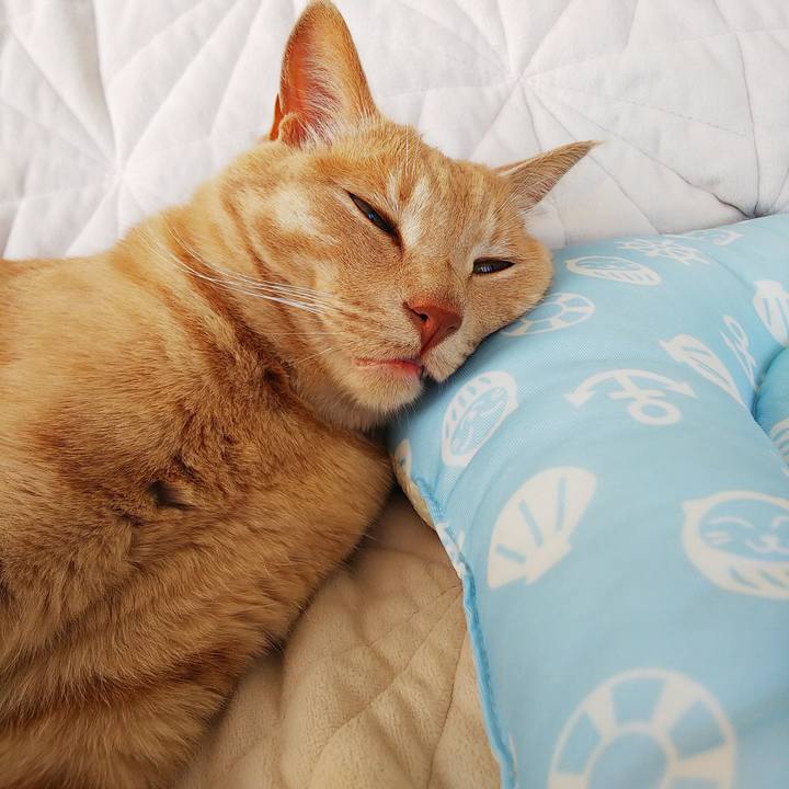 Ff99470f 5205 4f37 9475 47e49df225a9 1595652248264