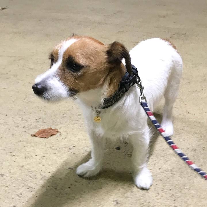 Ff998731 9999 4639 9667 887064ddc6fe 1509629788327