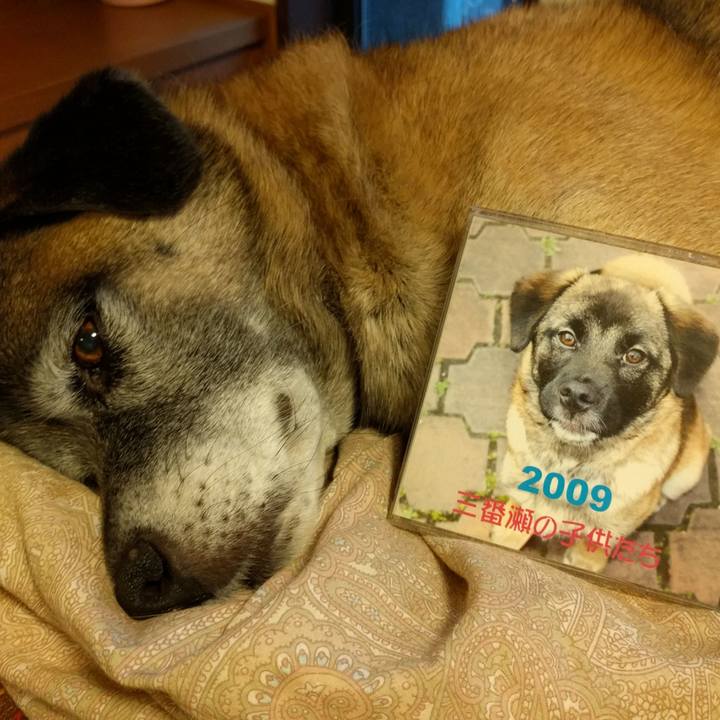 Ff998b85 1c9c 4c69 baeb 138e6feb3463 1511941815291