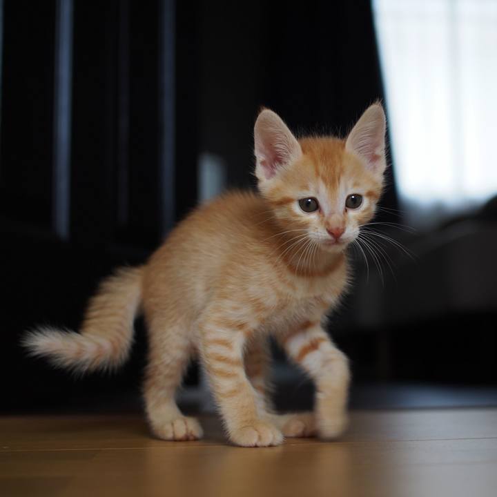 Ff999167 1c64 48d5 b044 ecad722da9e5 1570260987199