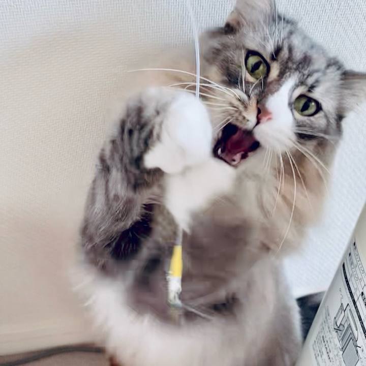 Ff999ac7 3f47 459b 98e1 5f5d96328e95 1763696860854