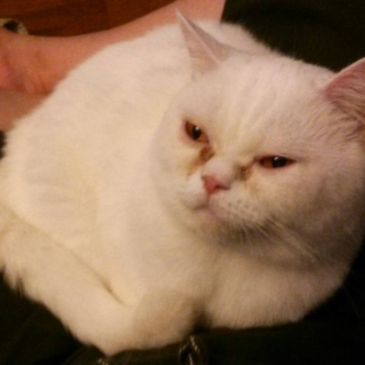 Ff99b9f9 e46b 4222 9a27 f69694ab7a66 1540613192856