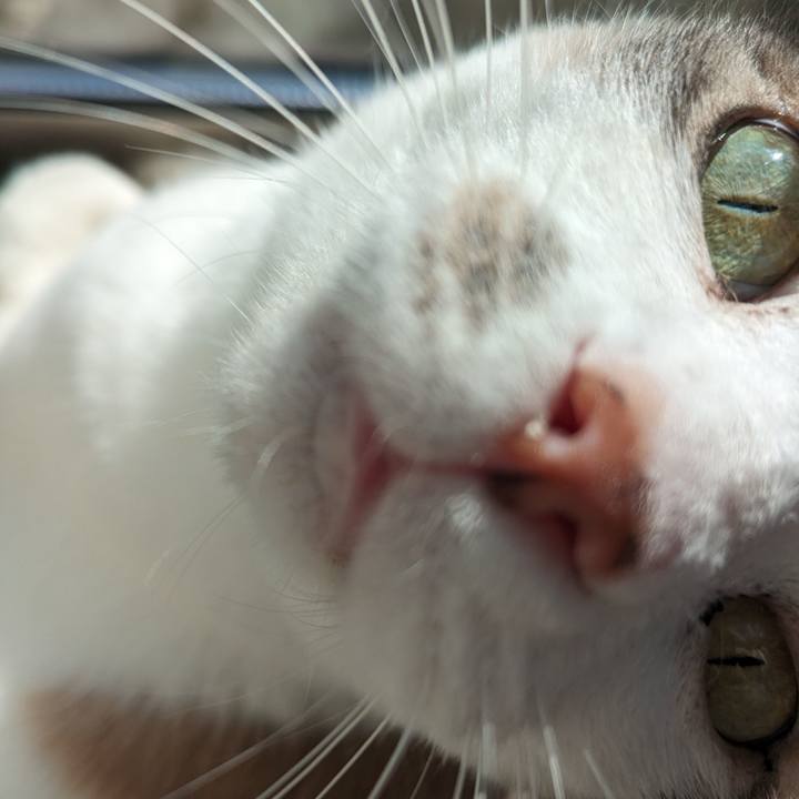 Ff99c432 8151 475c 8d60 9ed6d425a7d7 1698638784430