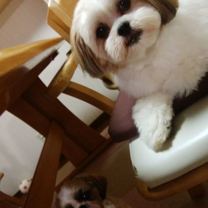 Ff99fd36 ef21 4a7b 8c53 ab4e0cbf73fd 1569319217406