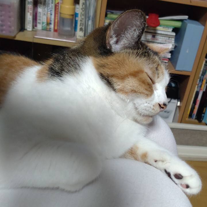 Ff9a6524 53a2 44a2 b502 2b61d0a265f6 1695120634961