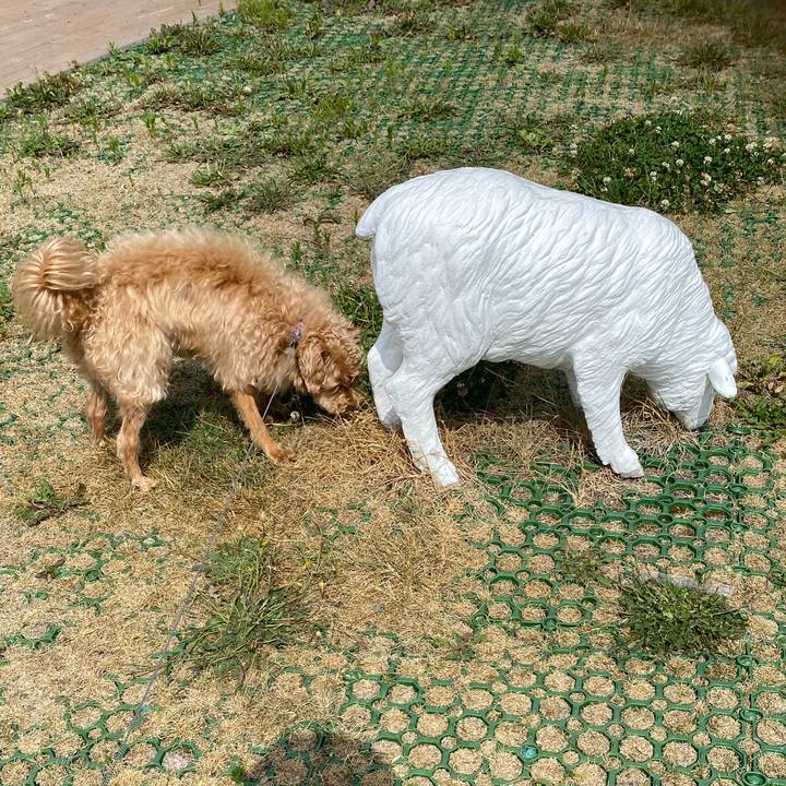 Ff9a7f61 30a7 4ca7 a909 ebef9c8496c3 1626645427978