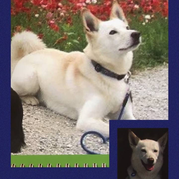 Ff9a9626 5c4c 4320 81e6 c0b9f95f63b2 1522657824764