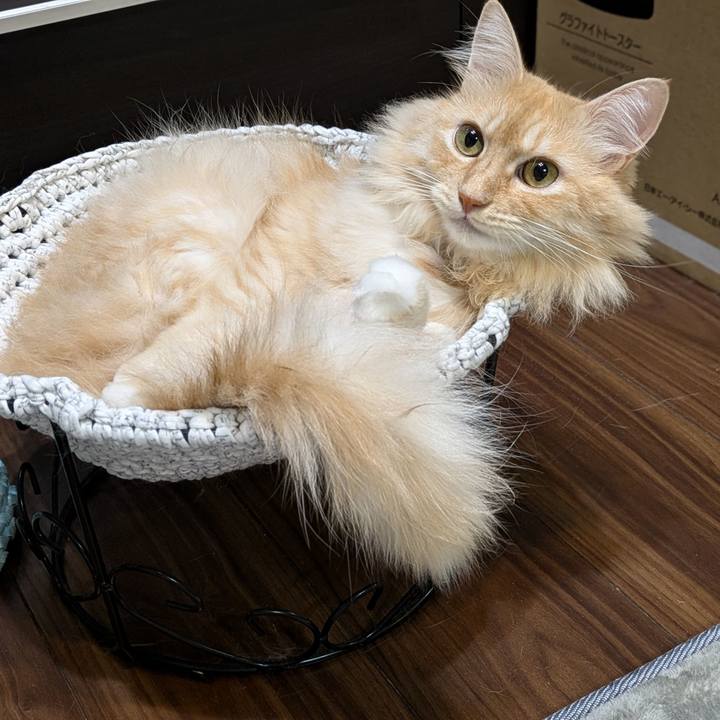 Ff9aa494 254d 47da 8b1a a64fff3bb7bb 1729176449124