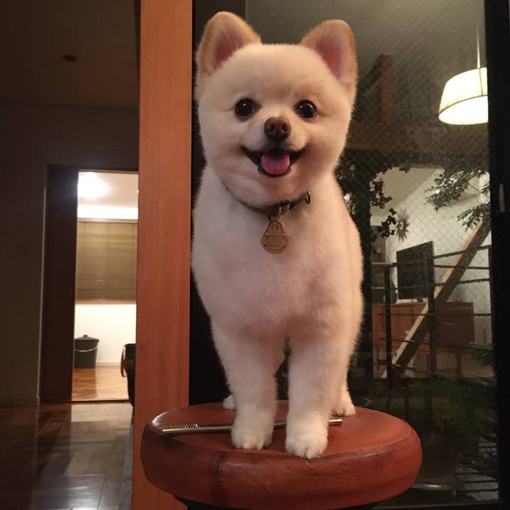 Ff9ad109 c481 4d29 8da9 b2146ab4e2e5 1594991782400