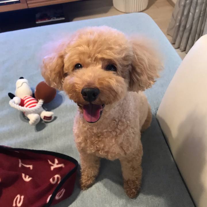 Ff9af3b9 be9f 4a3b 9a3e f9555c68e8ed 1572429318695