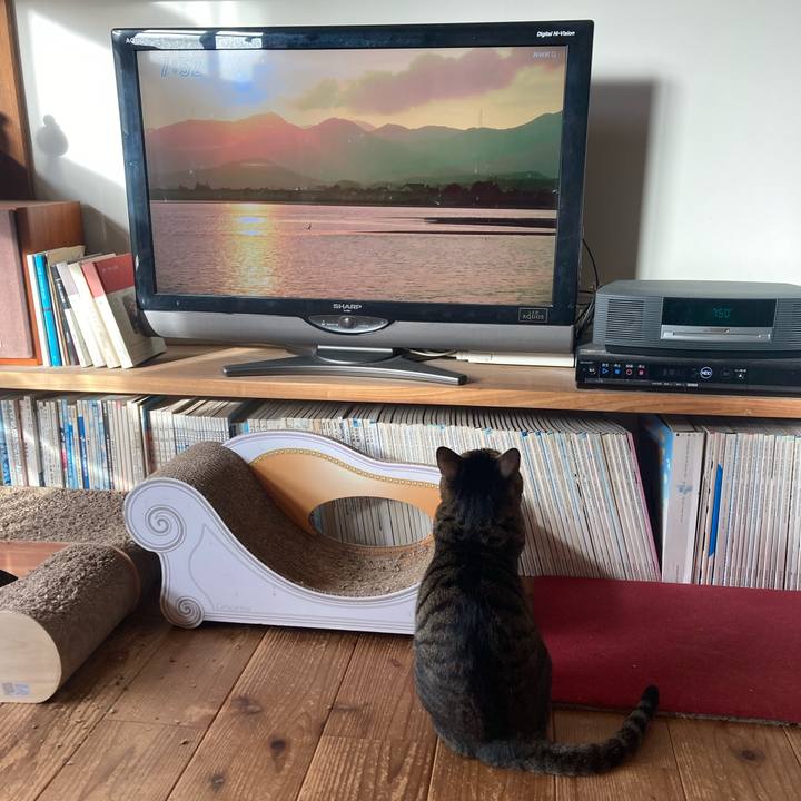 Ff9afbd5 cdf7 4fce 9e38 fa2fc4d7e73c 1763857446815