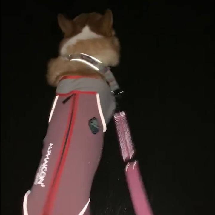 Ff9afdbf 2d42 4fa7 8d50 c63385042c1e 1696844500885