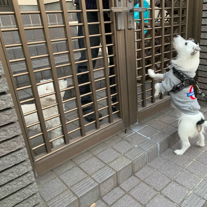 Ff9b1a6b a0d2 482c 882d 1755031f829f 1733038985792