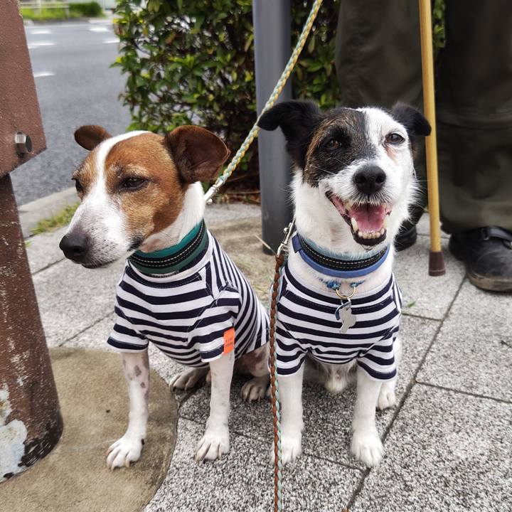 Ff9b7e5e 0db1 4925 824e 7e6f9850a57c 1722895505137