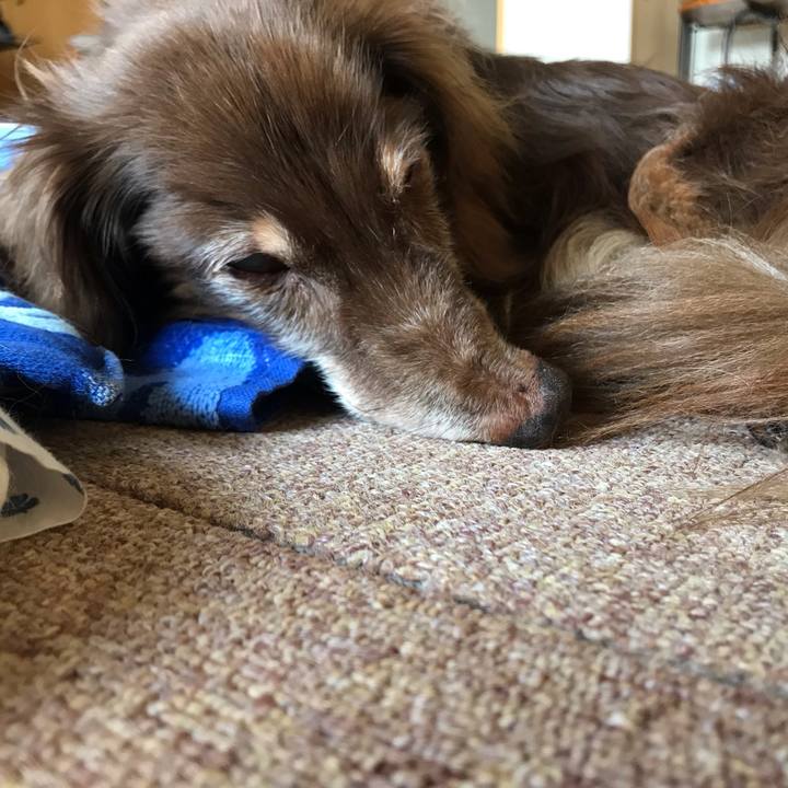 Ff9be5e1 7d38 41f5 be12 1cb3e977d40f 1596489094975