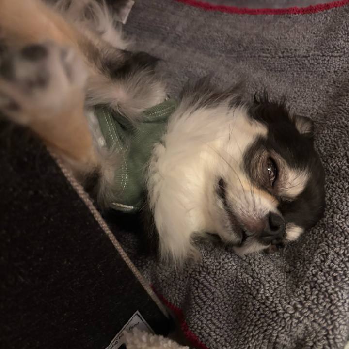 Ff9bee2b 216a 44d1 83c7 3891ff11a18f 1749398571968