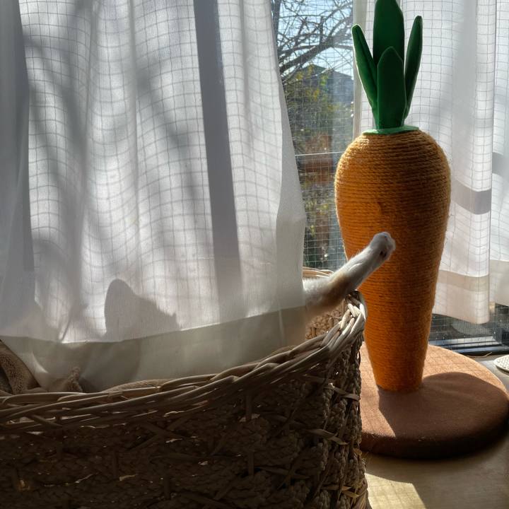 Ff9c0e10 5011 4f42 a7a0 53bafc371f35 1739578642053