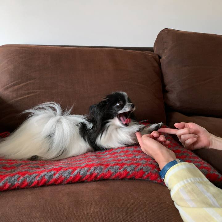 Ff9c5043 a72a 4239 a93f 5655f6d34ea8 1571558563551