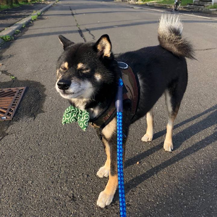 Ff9c8d20 0f51 4ad0 8027 edc29f39a111 1530843202353