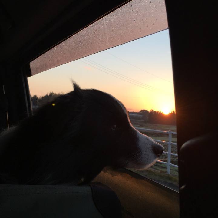 Ff9c9f86 6130 40ce a05b d279dab88aa0 1547419001835