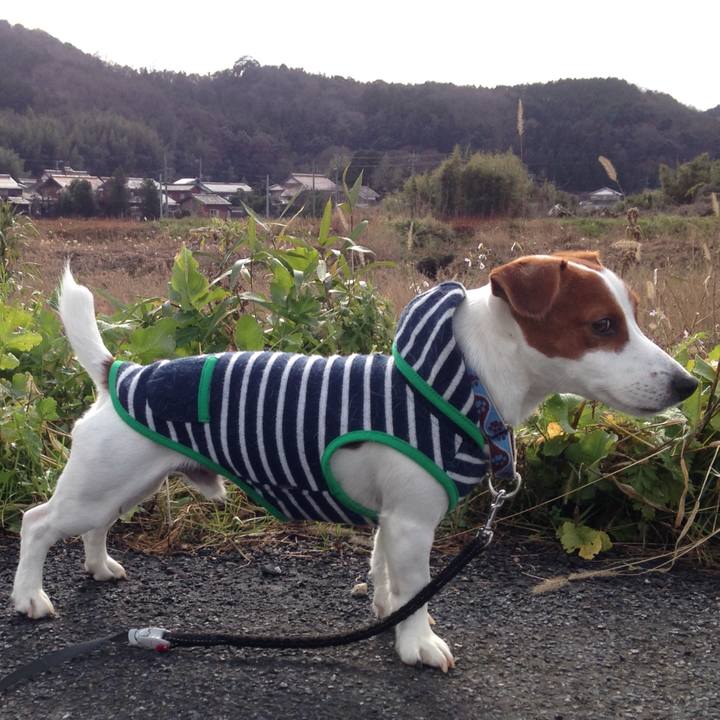 Ff9ca62f b0f3 4ff7 a35a 3ed27fb2f06a 1515311410086