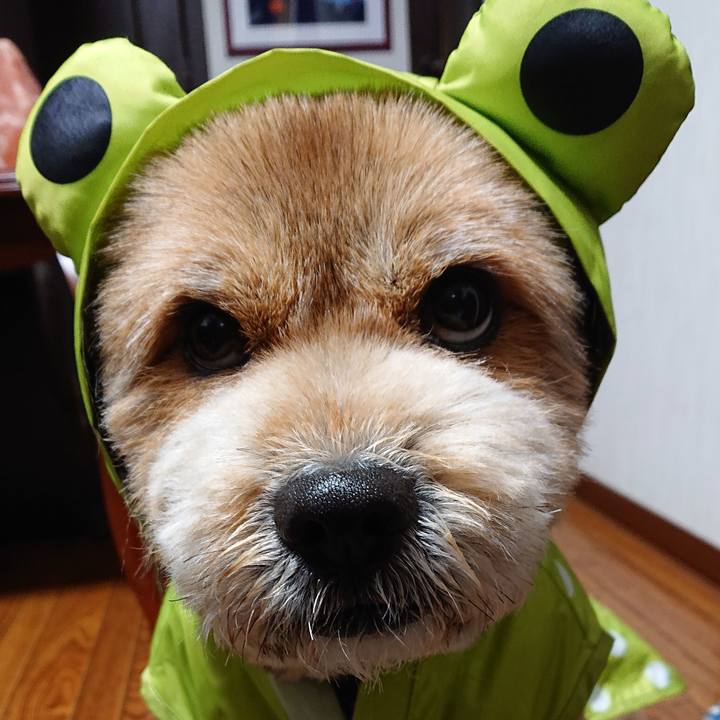 Ff9ca7f9 9655 4098 8e58 c145089ae91e 1551304191154