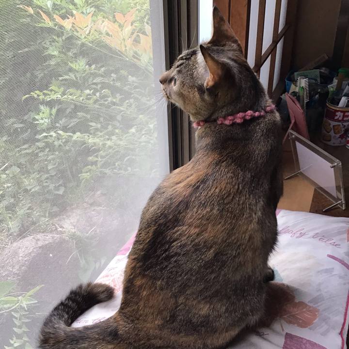 Ff9cecf5 e3d2 4281 8f6b b4084c9a86da 1589078621112