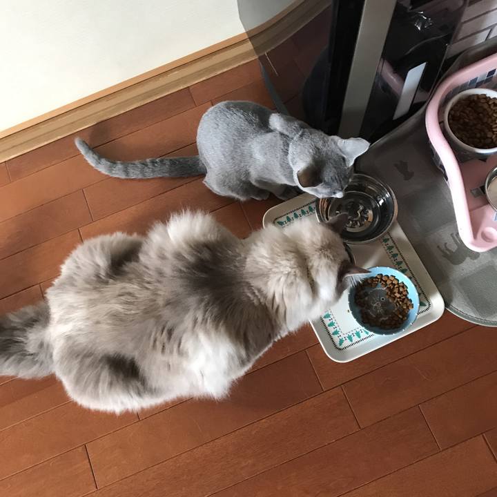 Ff9cfc32 aa44 468b 9ec5 331be6f6b217 1509752895268