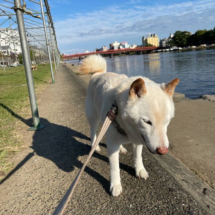 Ff9d076c 38ee 4318 abb9 9ba4aca8436a 1635321957531