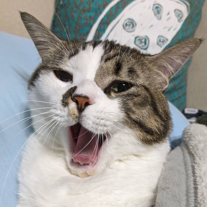 Ff9d0c8a 4e93 402c a49d 594d805c9321 1702385844237