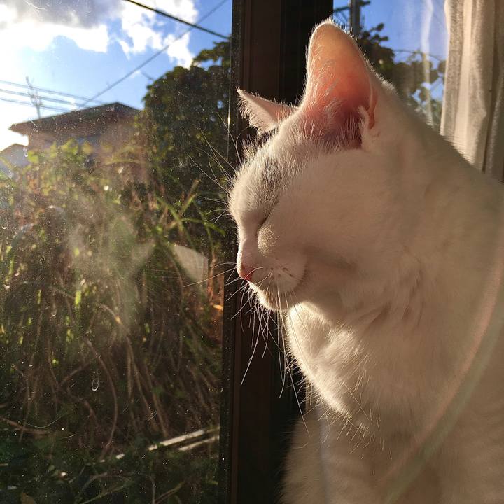 Ff9d0f98 864a 4bb1 a2cc 72ba5ea2d5c4 1573187210551