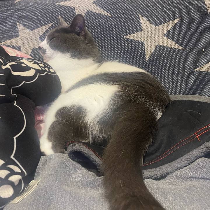 Ff9d263a 0f1a 4355 b9b1 fc07a6290abd 1650189674508