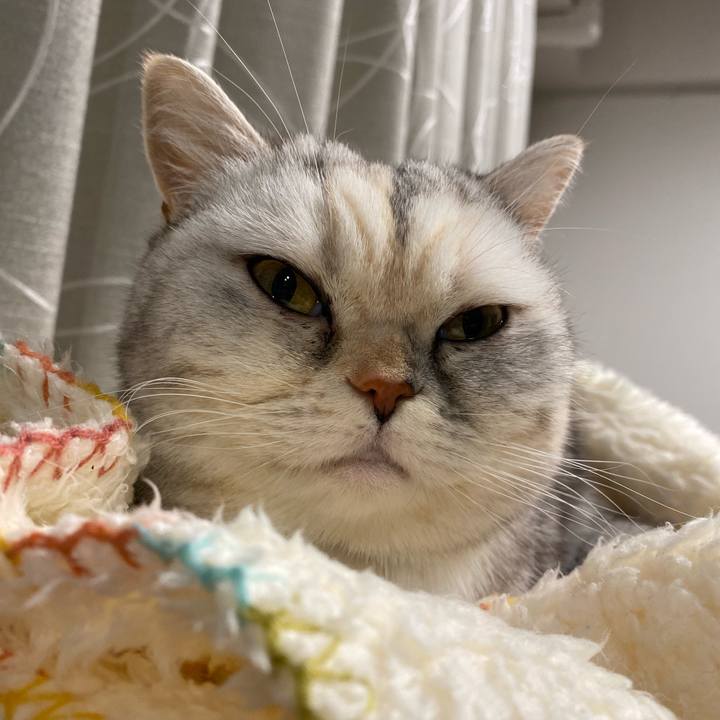 Ff9d68b7 8342 4969 90e8 9bd8610b1eec 1773573505737