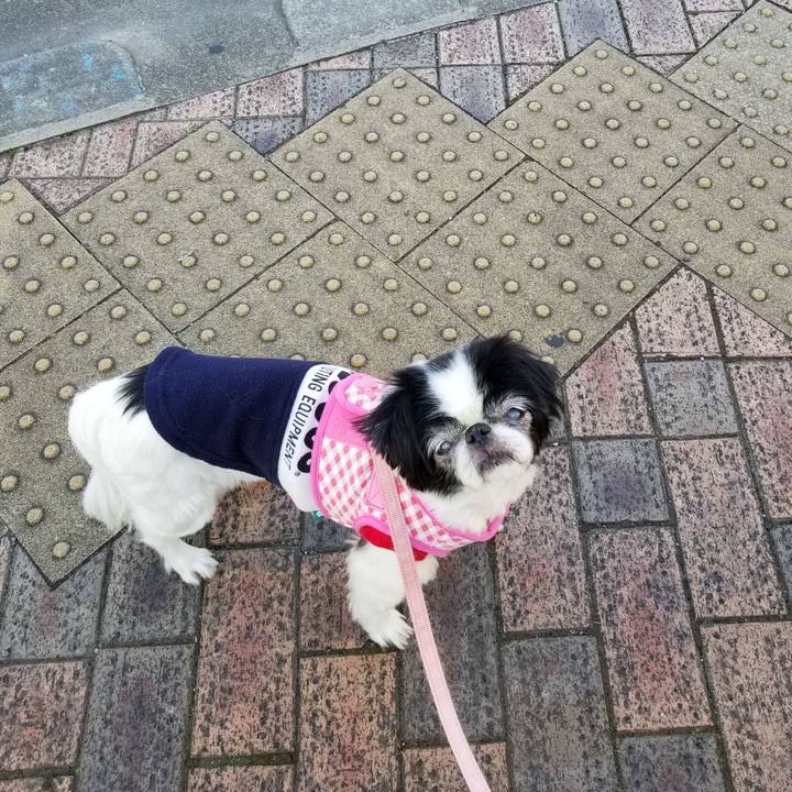 Ff9d7466 3dcb 4adf a6ac ab9327707400 1607248712145