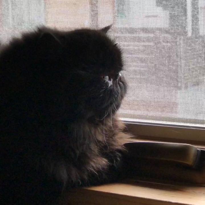 Ff9d86df 9a54 477a ba6d ea3baa1c5710 1539852177976