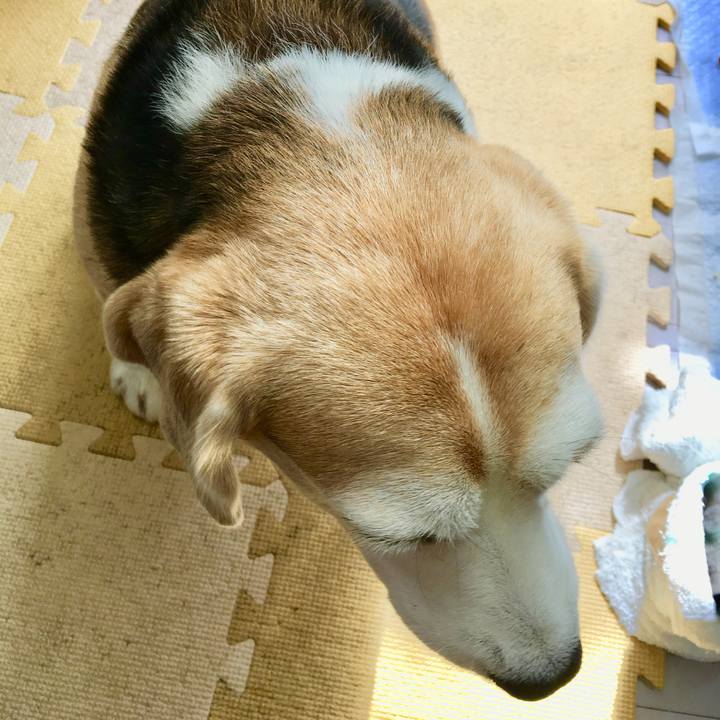 Ff9db3c6 3f84 462f bdf0 f4260325f030 1728686105062