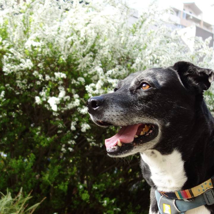 Ff9db908 7828 444b a2a8 ceb80d4850e6 1742862942372