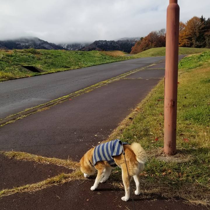 Ff9ddae2 19a1 44e1 a56c f70fac9ea88e 1701485585412