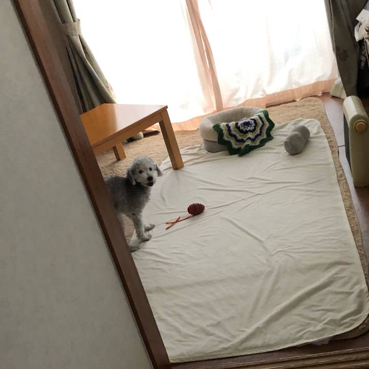 Ff9dfd65 f415 4e66 95bf 92e469b928db 1606260020749