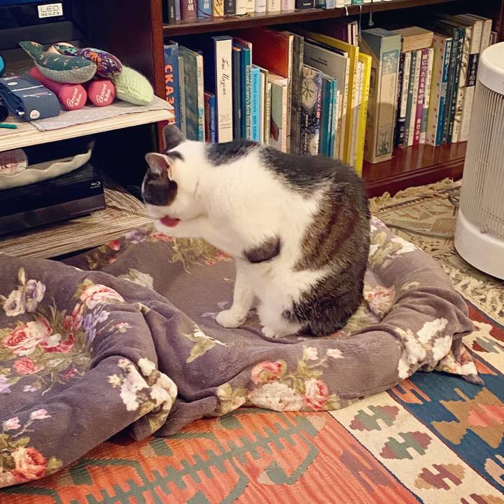 Ff9e0a06 047a 4447 8441 279909c180f4 1588250378841