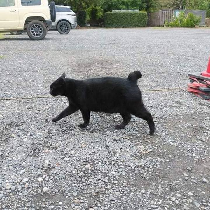 Ff9e30fe 02dc 4c40 bf1a bcc772074285 1630887600762