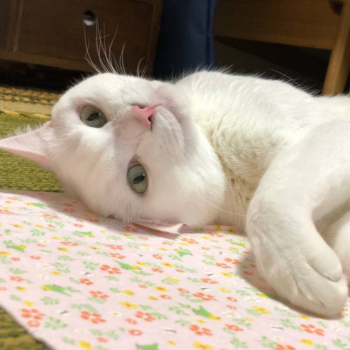 Ff9e419d 9d87 4dc4 9c5f dd663e03039d 1540814795057